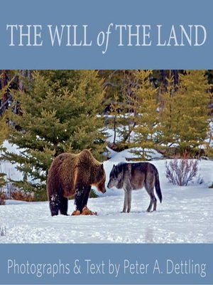 cover image of The Will of the Land